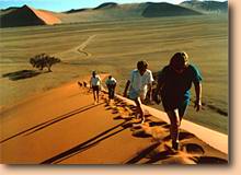 ../aaa_websites/aaa_wildnet/travelsa/charmtours/Namib%20dunes